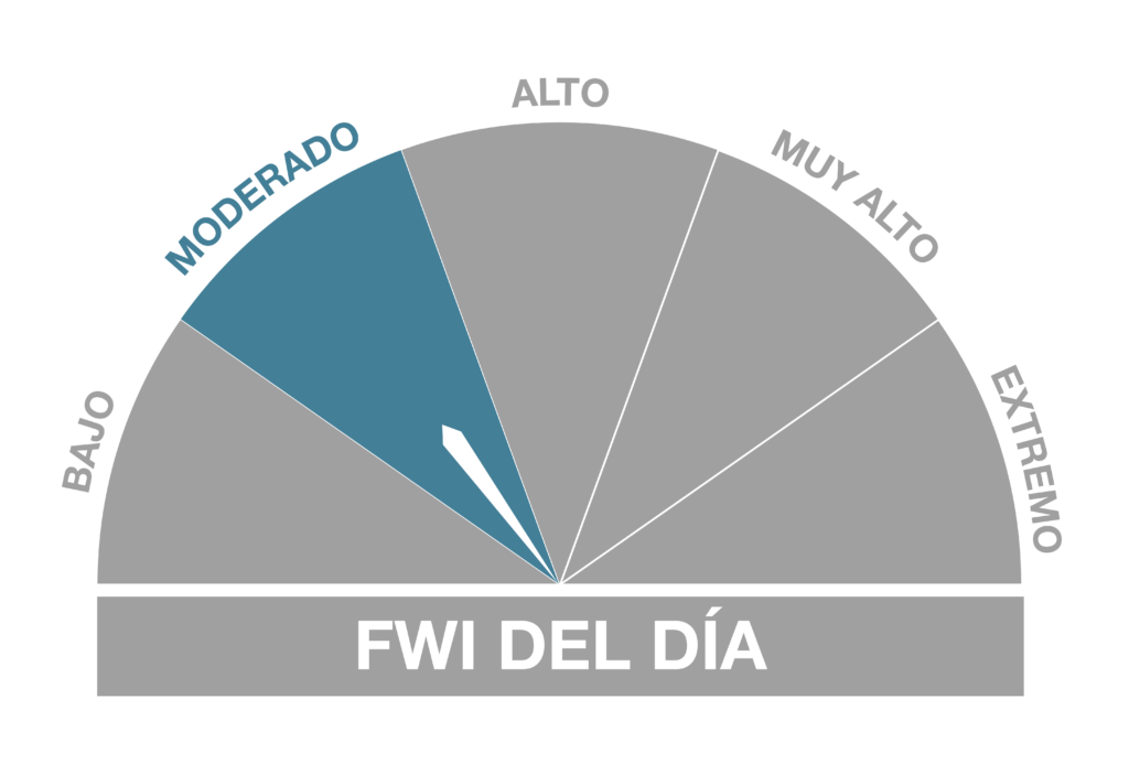 moderado-01